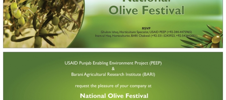 National Olive Festival